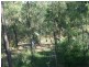 Fernvale QLD 4306