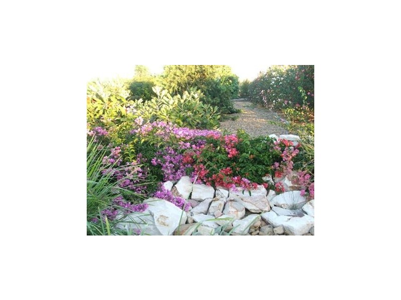 Regency Downs QLD 4341