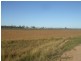 Morton Vale QLD 4343