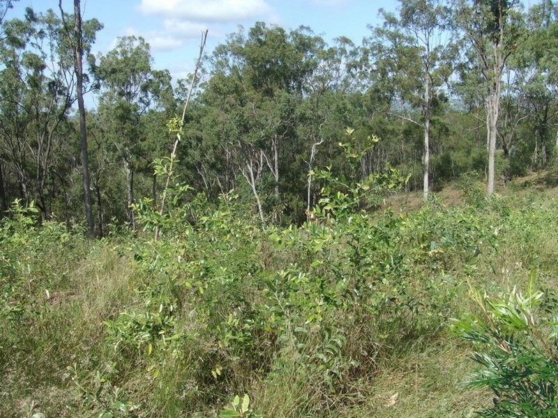 Wivenhoe Pocket QLD 4306