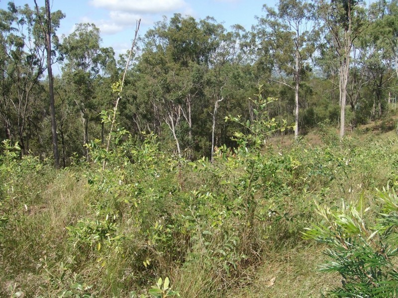 Wivenhoe Pocket QLD 4306