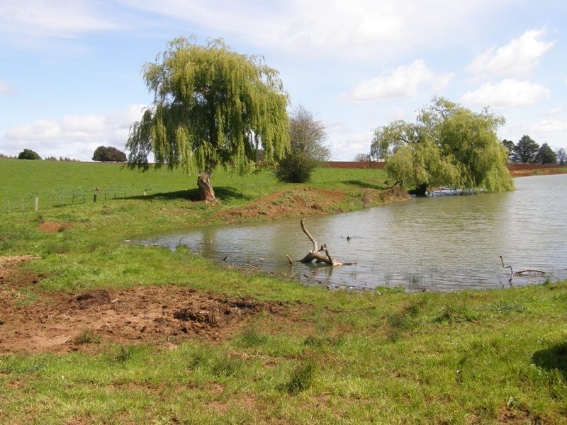 141 West Minstone Road, Scottsdale TAS 7260