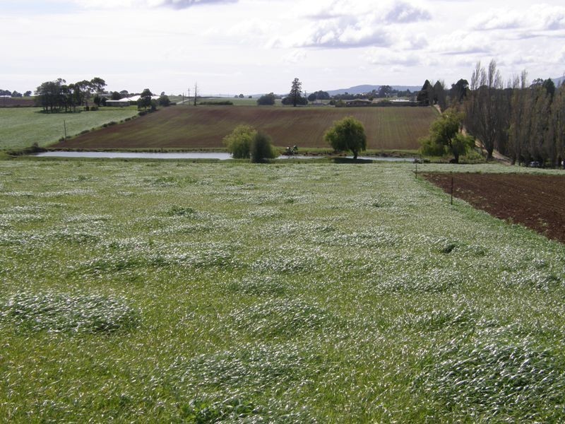 141 West Minstone Road, Scottsdale TAS 7260