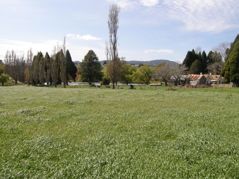 141 West Minstone Road, Scottsdale TAS 7260