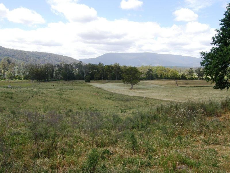 114 Austins Road, Scottsdale TAS 7260