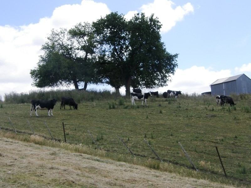 114 Austins Road, Scottsdale TAS 7260