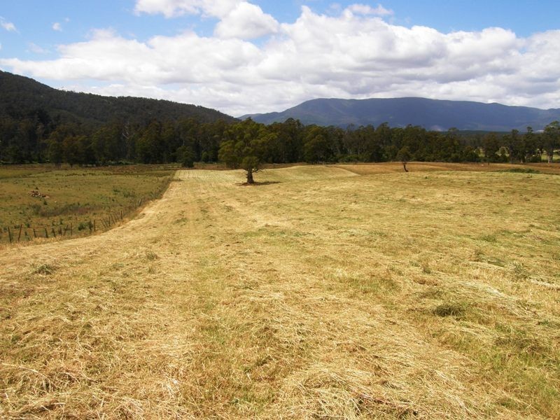 114 Austins Road, Scottsdale TAS 7260