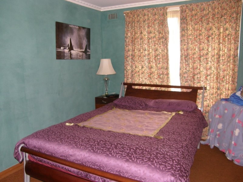 1 Arnold Place, Scottsdale TAS 7260