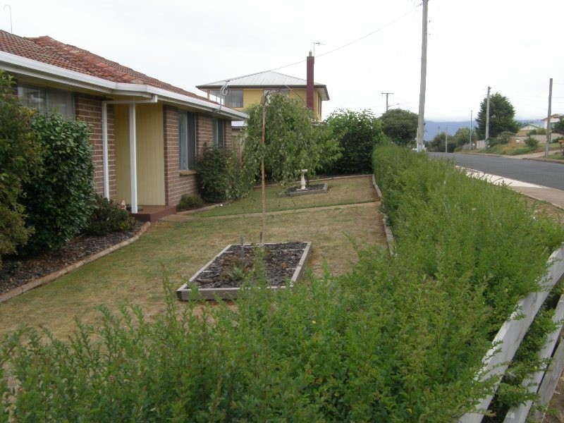 1 Arnold Place, Scottsdale TAS 7260