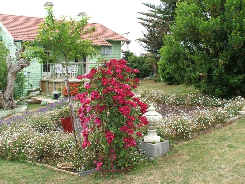 3 Hedley Street, Scottsdale TAS 7260