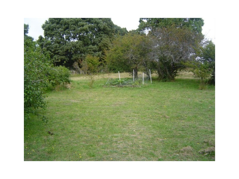Lot 15&16 Tasman Highway, Weldborough TAS 7264