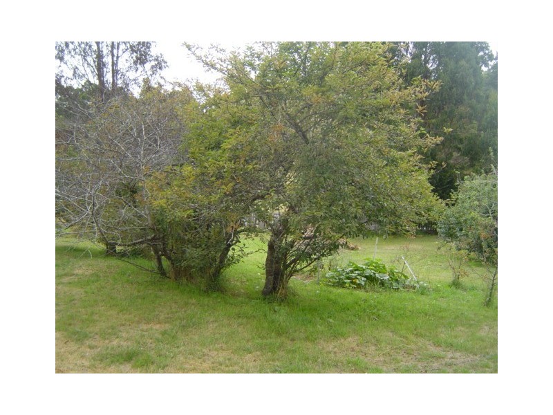 Lot 15&16 Tasman Highway, Weldborough TAS 7264