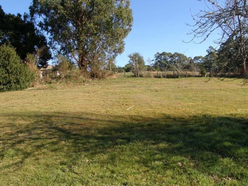 Lot 15&16 Tasman Highway, Weldborough TAS 7264