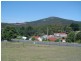 43 Scott Street, Branxholm TAS 7261