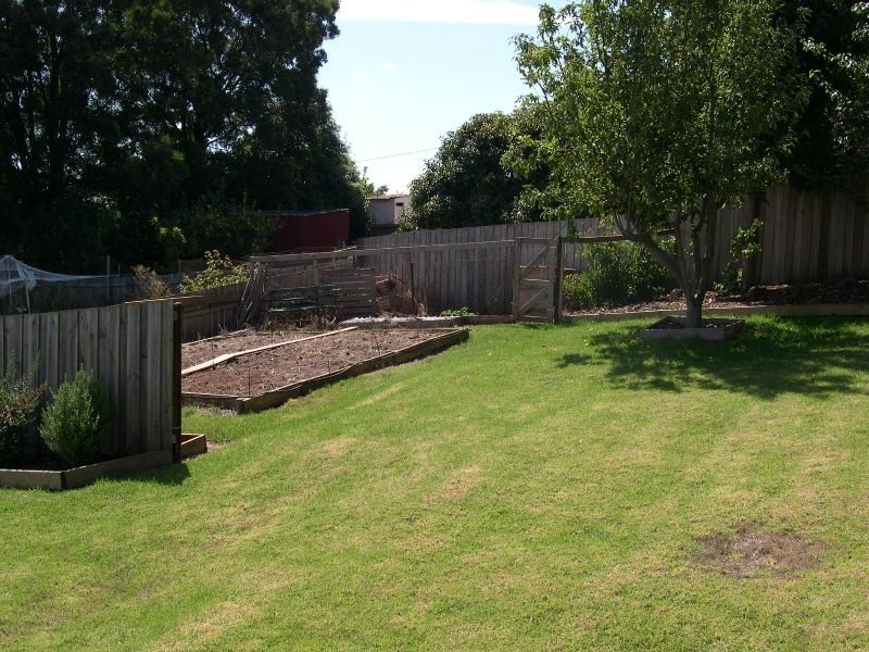 10 Charles Street, Scottsdale TAS 7260