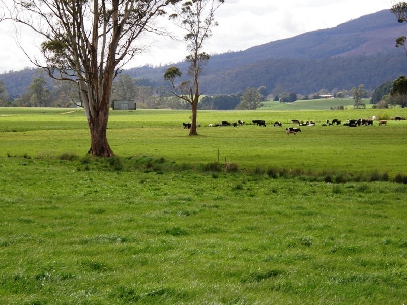 97 Ringarooma Road, Legerwood TAS 7263