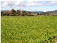 97 Ringarooma Road, Legerwood TAS 7263