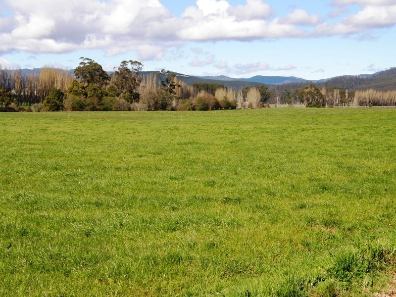 97 Ringarooma Road, Legerwood TAS 7263