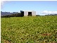 97 Ringarooma Road, Legerwood TAS 7263