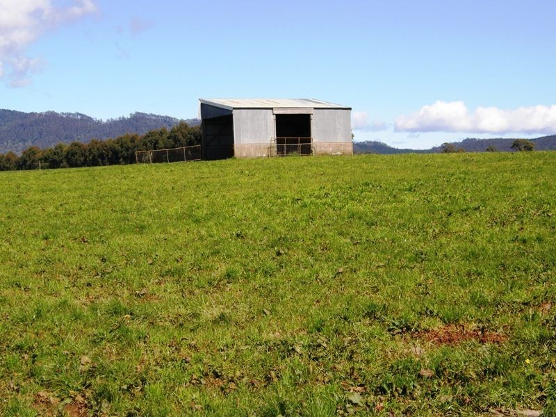 97 Ringarooma Road, Legerwood TAS 7263