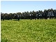 97 Ringarooma Road, Legerwood TAS 7263