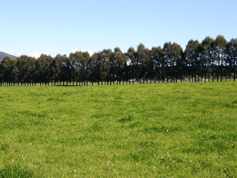 97 Ringarooma Road, Legerwood TAS 7263
