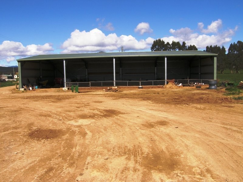 97 Ringarooma Road, Legerwood TAS 7263