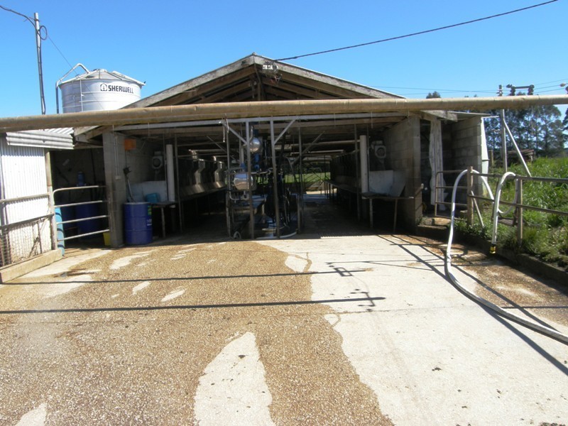 97 Ringarooma Road, Legerwood TAS 7263