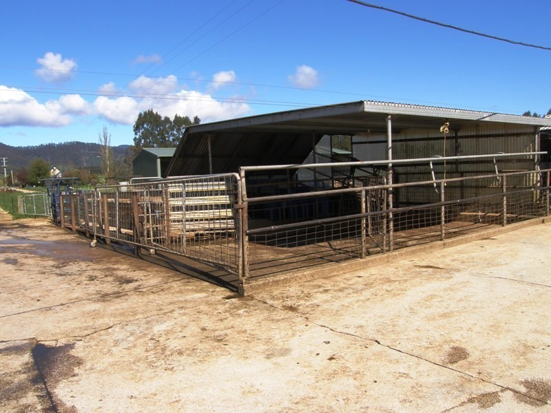 97 Ringarooma Road, Legerwood TAS 7263