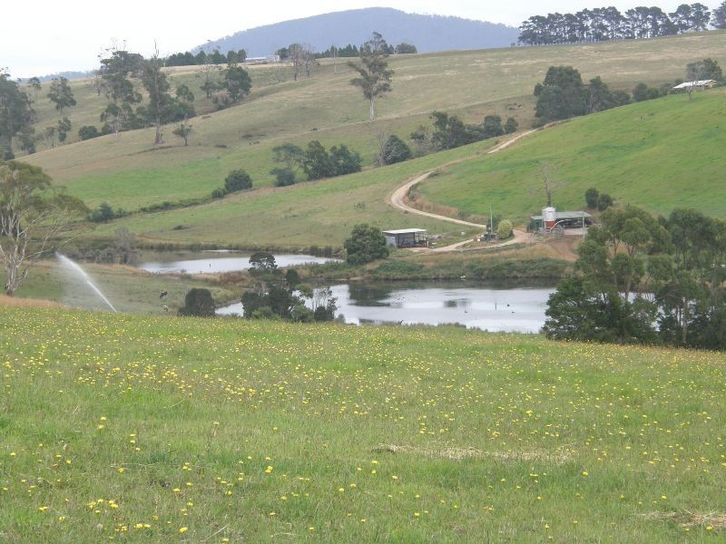 83 Blackwells Road, Winnaleah TAS 7265