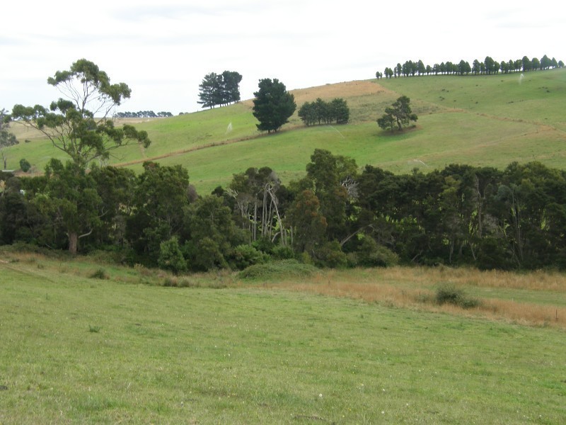 83 Blackwells Road, Winnaleah TAS 7265