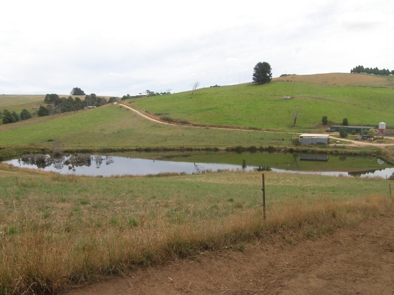 83 Blackwells Road, Winnaleah TAS 7265