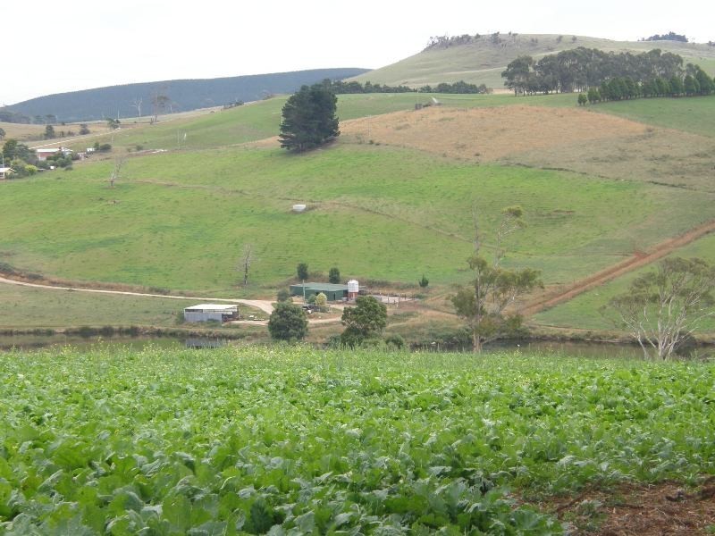 83 Blackwells Road, Winnaleah TAS 7265