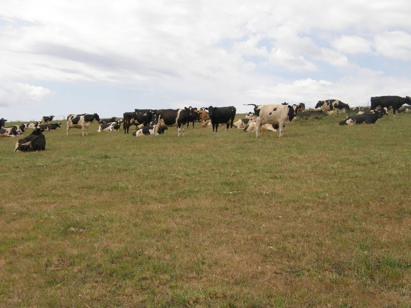 83 Blackwells Road, Winnaleah TAS 7265