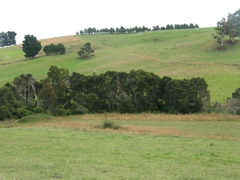 83 Blackwells Road, Winnaleah TAS 7265