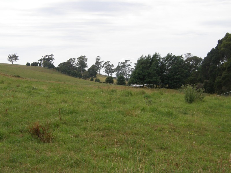 83 Blackwells Road, Winnaleah TAS 7265