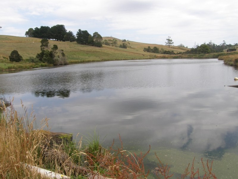 83 Blackwells Road, Winnaleah TAS 7265