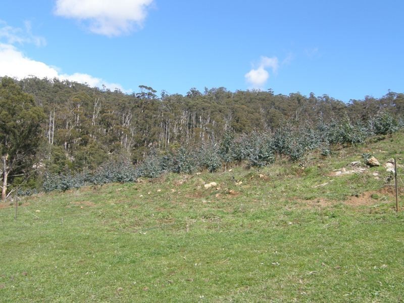 33808 Tasman Highway, Tulendeena TAS 7260
