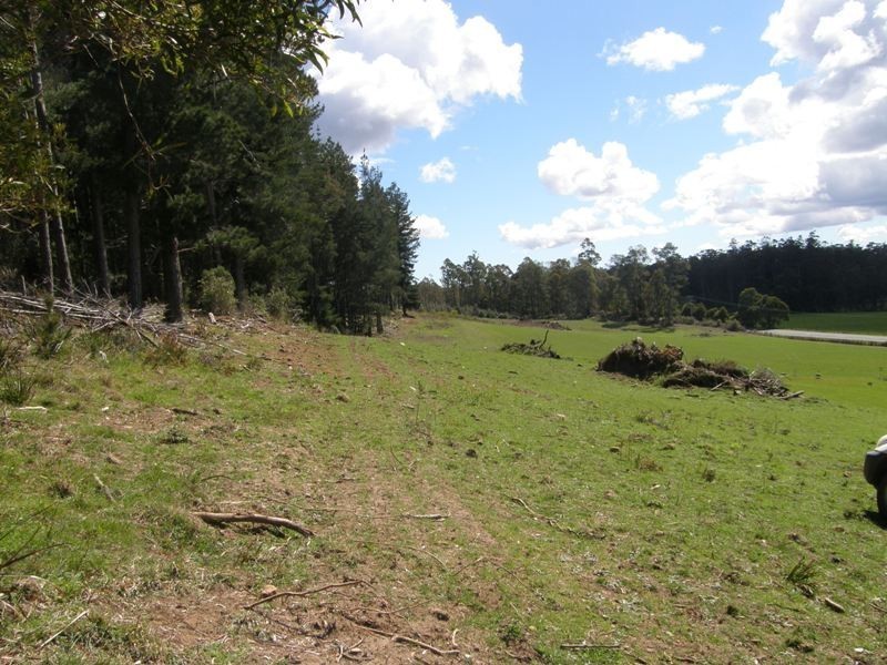 33808 Tasman Highway, Tulendeena TAS 7260