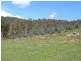 33808 Tasman Highway, Tulendeena TAS 7260