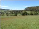 33808 Tasman Highway, Tulendeena TAS 7260