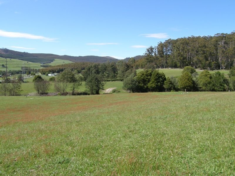 33808 Tasman Highway, Tulendeena TAS 7260