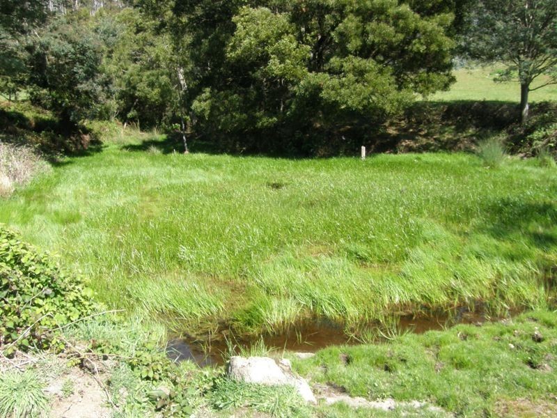 33808 Tasman Highway, Tulendeena TAS 7260