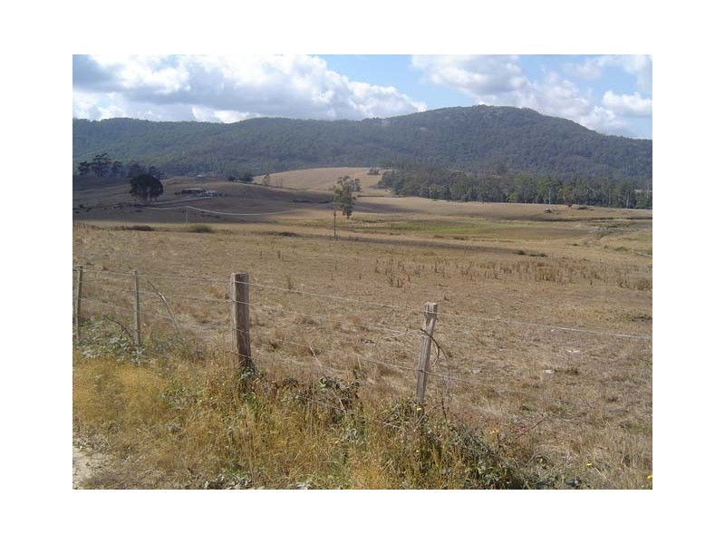 - Austins Road, Scottsdale TAS 7260