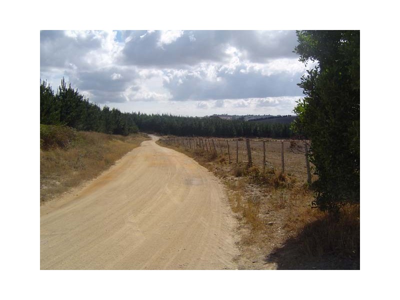 - Austins Road, Scottsdale TAS 7260