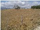 - Austins Road, Scottsdale TAS 7260