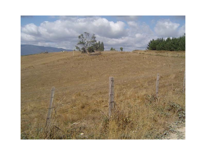 - Austins Road, Scottsdale TAS 7260