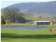 35917 Tasman Highway, Springfield TAS 7260