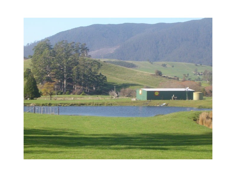 35917 Tasman Highway, Springfield TAS 7260