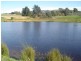 35917 Tasman Highway, Springfield TAS 7260
